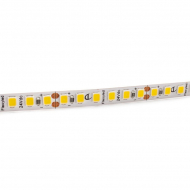 Bande LED Flexy SHE6 PW PRO