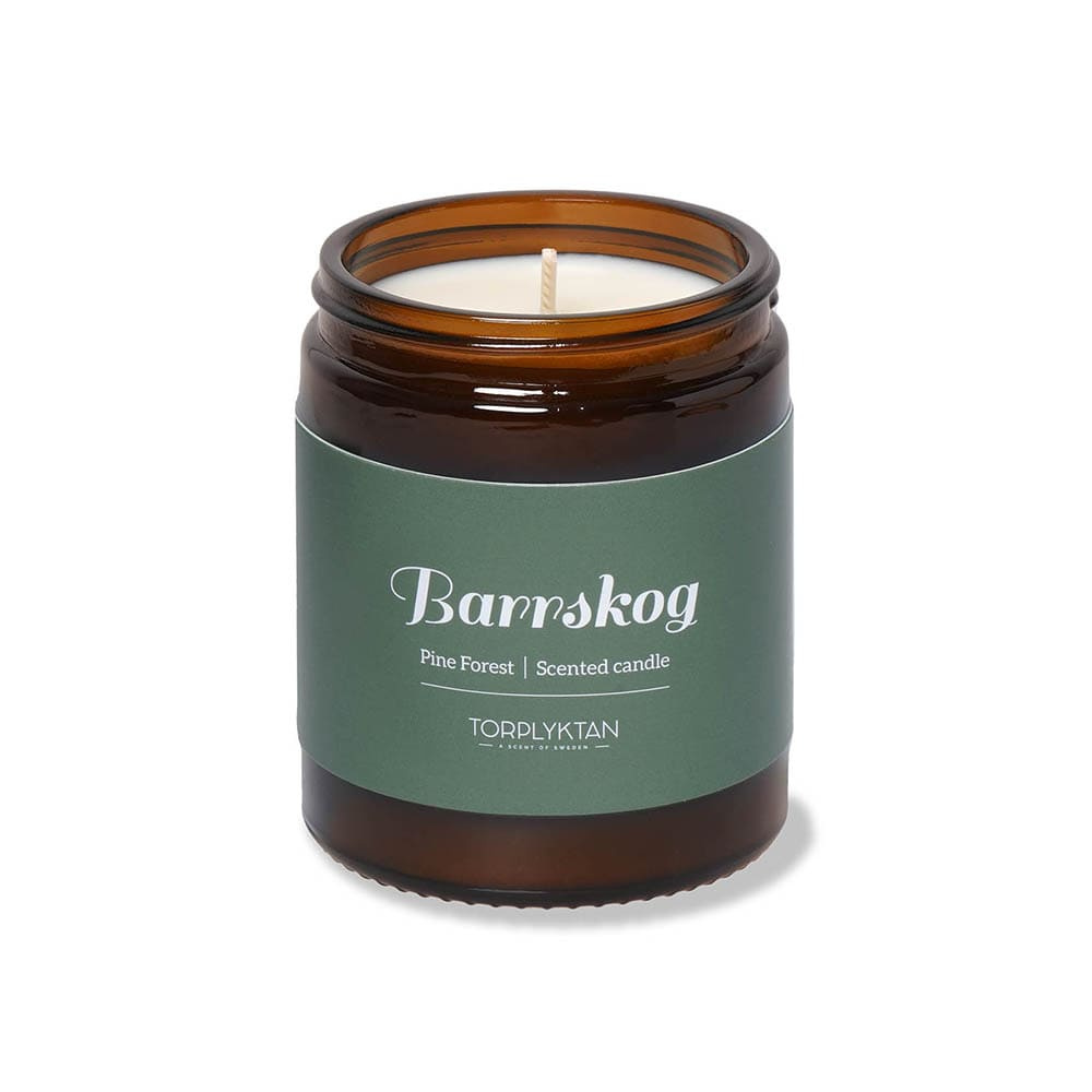 Bougie parfumée - Pine Forest - 150g
