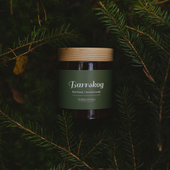 Bougie parfumée - Pine Forest - 150g