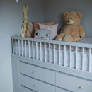 Bouton Rut - Frêne Non Traité