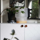 Bouton Olympia - Chêne