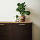 Poignée Rattan - 160mm - Laiton Brossé