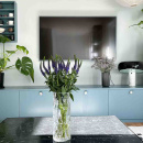 Bouton Simon - 35mm - Finition Acier Inoxydable