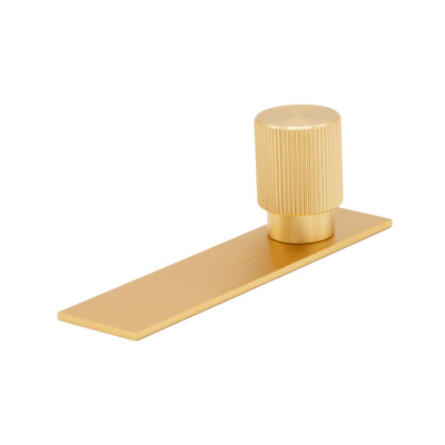 Bouton Arpa/Plaque Arrière - Laiton Brossé dans le groupe Boutons / Couleur/Matériau / Laiton chez Beslag Online (373086-11)