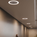 Spot LED Holl TDM DM - Noir Mat